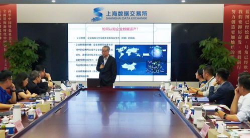 共探企业数据资产化战略新方向 上海数交所数据咨询服务商培训会解读